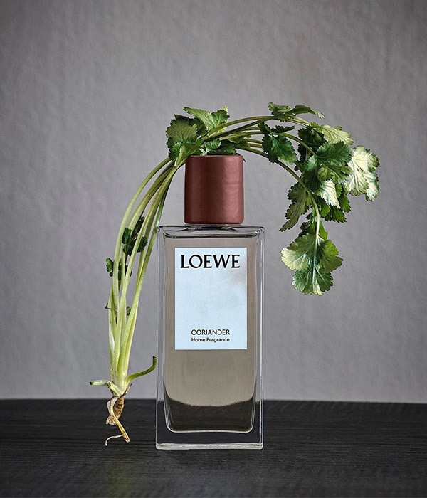 2, Coriander-LOEWE.jpg