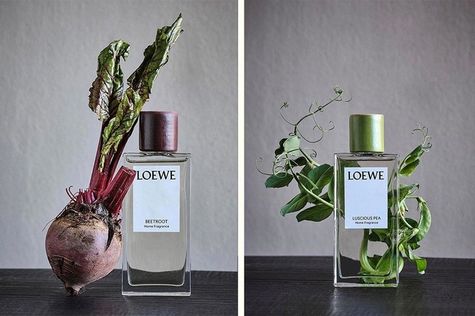 3, Coriander-LOEWE.jpg