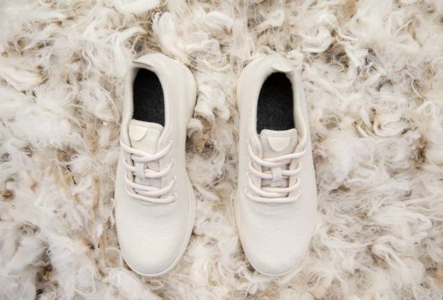 Cool gifts for family allbirds wool shoes.png
